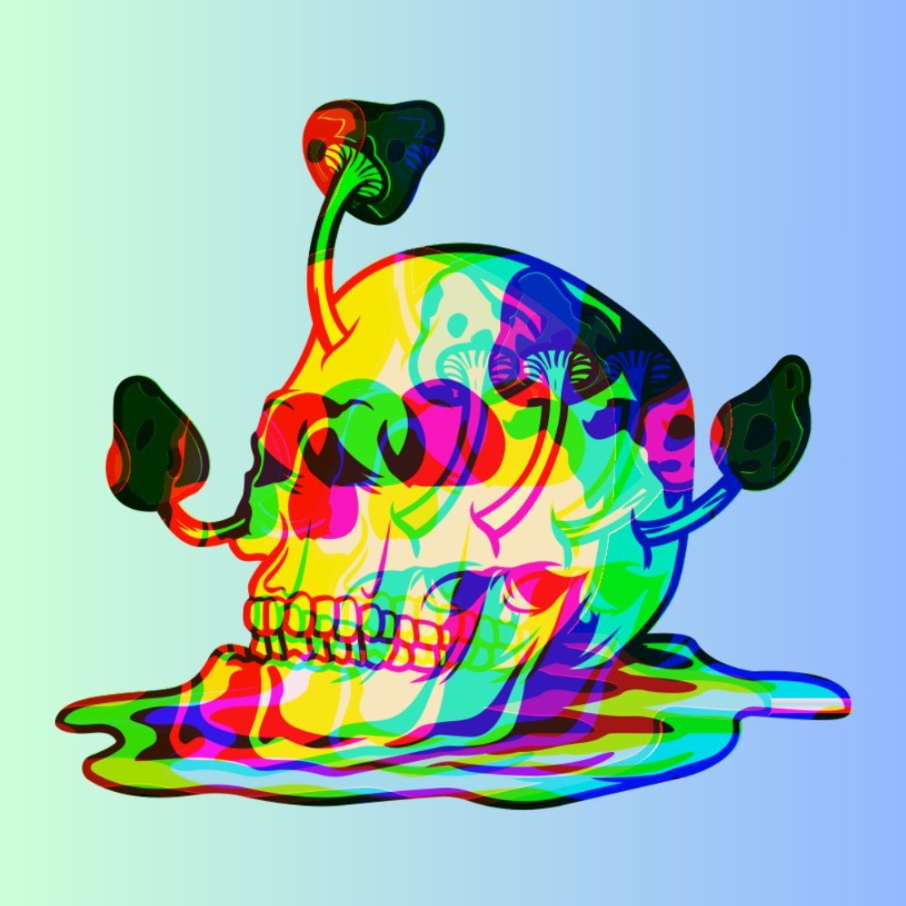 Skull Mushroom Design Collabs - Skull Mushroom Cosmetics Co.